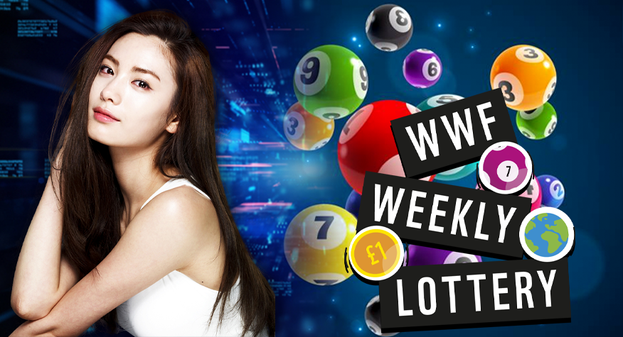 Menentukan Kemenangan Togel Online